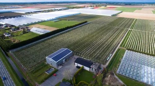 Streekvers fruit - Vers bedrijf uit Flevoland